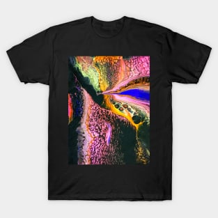 Triumphant - Pour & Swipe Abstract T-Shirt